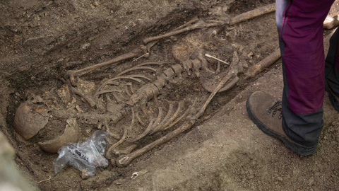 Uno de los cuatro esqueletos hallados en la fosa del cementerio parroquial de Colmenar Viejo, con impacto de bala en mandíbula y cráneo, según los arqueólogos. Uno de los cuatro esqueletos hallados en la fosa del cementerio parroquial de Colmenar Viejo, con impacto de bala en mandíbula y cráneo, según los arqueólogos.