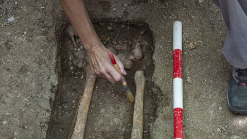 Personal de Aranzadi extrae los huesos de un cuerpo que se cree que fue fusilado en Colmenar viejo en 1939 y enterrado junto a más de 80 en el cementerio parroquial. Personal de Aranzadi extrae los huesos de un cuerpo que se cree que fue fusilado en Colmenar viejo en 1939 y enterrado junto a más de 80 en el cementerio parroquial.