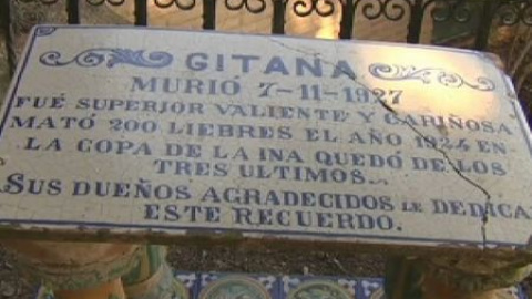 Un cementerio de mascotas se llena estos días de visitas Un cementerio de mascotas se llena estos días de visitas