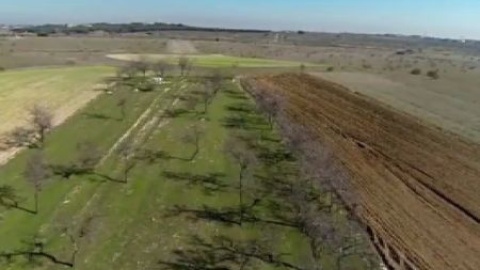 Alcorcón desolado por el anuncio de Eurovegas Alcorcón desolado por el anuncio de Eurovegas