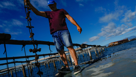 25/08/2022 Hasta 150.000 kilos de mejillón comercial se han perdido esta temporada, a 23 de agosto de 2022, en Tarragona. 25/08/2022 Hasta 150.000 kilos de mejillón comercial se han perdido esta temporada, a 23 de agosto de 2022, en Tarragona.