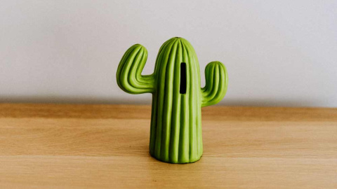 annie-spratt-hc7kZmrQPYU-unsplash(1000)