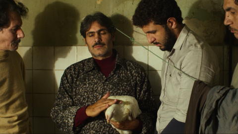 31/08/2022. Una secuencia de 'Plumas', de Omar El Zohairy. 31/08/2022. Una secuencia de 'Plumas', de Omar El Zohairy.