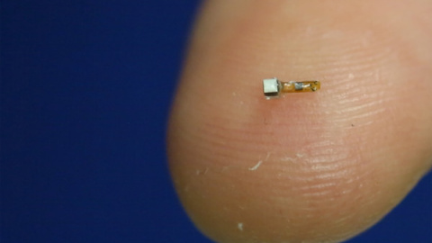 Diminutas partículas de silicio llamadas polvo neuronal basadas en los mismos principios de los neurogranos. UC Berkeley Diminutas partículas de silicio llamadas polvo neuronal basadas en los mismos principios de los neurogranos. UC Berkeley