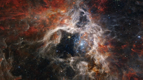 La poderosa visión en el espectro infrarrojo del telescopio espacial James Webb ha descubierto miles de estrellas en formación en la nebulosa de la Tarántula que hasta ahora no habían sido detectadas. La poderosa visión en el espectro infrarrojo del telescopio espacial James Webb ha descubierto miles de estrellas en formación en la nebulosa de la Tarántula que hasta ahora no habían sido detectadas.