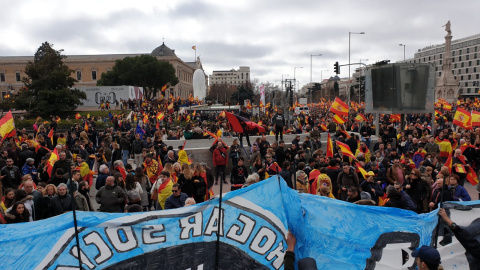 Miembros del grupo neonazi Hogar Social Madrid portan una pancarta con el escudo de la organización en Colón./ Fermín Grodira