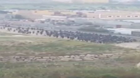 Carrera desesperada por un sueño Carrera desesperada por un sueño