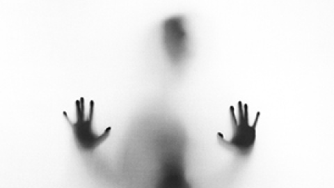 stefano-pollio-365695-unsplash