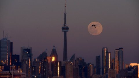 La luna llena se levanta sobre el horizonte del centro de la ciudad y el Scotiabank Arena en Toronto, Ontario, Canadá | REUTERS/ Dan Hamilton