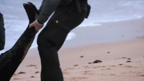 Hallado en una playa de Caños de Meca el cuerpo de otro de los inmigrantes que naufragaron la semana pasada Hallado en una playa de Caños de Meca el cuerpo de otro de los inmigrantes que naufragaron la semana pasada