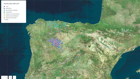 photo5861968298877496696