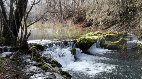 photo5848276127821442496