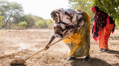 Foto: Action Aid Foto: Action Aid