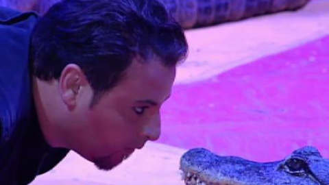 El Parlamento catalán sigue adelante con la prohibición de los animales en el circo El Parlamento catalán sigue adelante con la prohibición de los animales en el circo