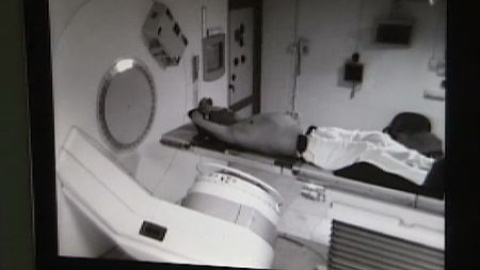 En busca de la 'célula madre' del cáncer En busca de la 'célula madre' del cáncer