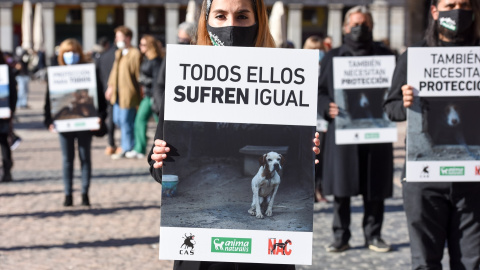 Concentración para no excluir a los perros de caza de la Ley de Protección Animal en la Plaza Mayor, a 30 de enero de 2022, en Madrid (España). -Gustavo Valiente / Europa Press Concentración para no excluir a los perros de caza de la Ley de Protección Animal en la Plaza Mayor, a 30 de enero de 2022, en Madrid (España). -Gustavo Valiente / Europa Press