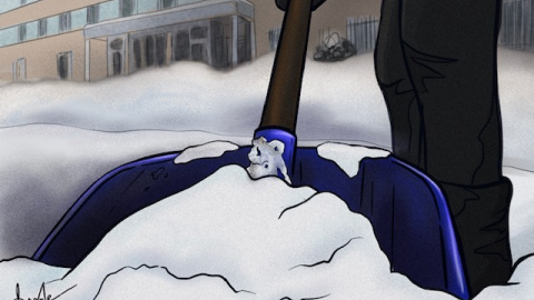 Ilustración: Verónica Montón Alegre Ilustración: Verónica Montón Alegre