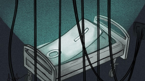 Ilustración: Verónica Montón Alegre Ilustración: Verónica Montón Alegre