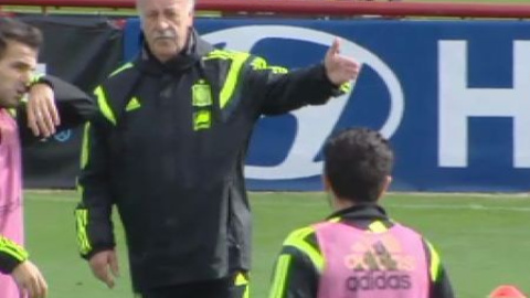 Del Bosque le pide a Cesc su peto para dárselo a Xabi Del Bosque le pide a Cesc su peto para dárselo a Xabi