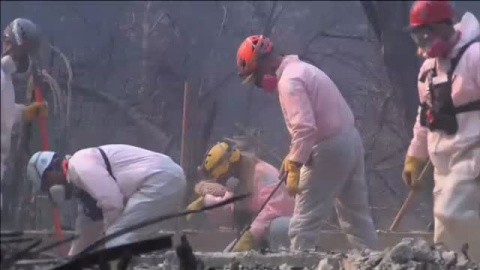 Buscan sin descanso a los más de 600 desaparecidos en los incendios de California Buscan sin descanso a los más de 600 desaparecidos en los incendios de California