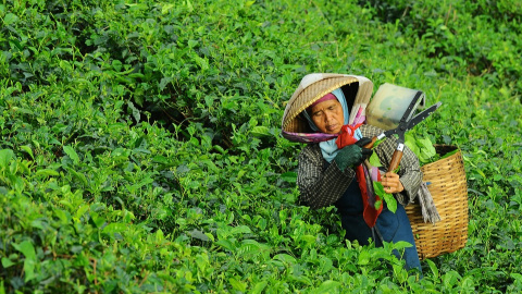 woman-801697_960_720