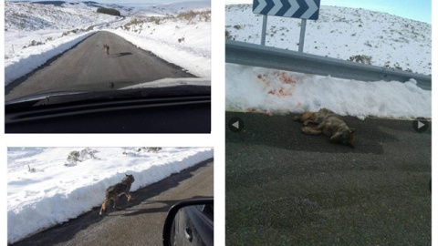 fotonoticia_20180124113227_640