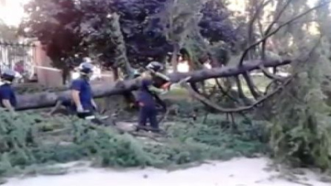 Una niña resulta herida al caer un árbol en el Parque del Retiro de Madrid Una niña resulta herida al caer un árbol en el Parque del Retiro de Madrid