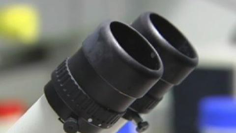 ¿Cómo de cerca puede la ciencia ver la vida? ¿Cómo de cerca puede la ciencia ver la vida?