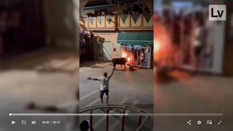 Cogida del toro a un asistente del 'bou embolat' de Vallada en otro incidente previo al fallecimiento del joven Cogida del toro a un asistente del 'bou embolat' de Vallada en otro incidente previo al fallecimiento del joven