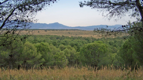 Vista panorámica del Llano de Matagallar de Coín (Málaga) - FRANCISCO JOSÉ ENRÍQUEZ LLAGAS. Vista panorámica del Llano de Matagallar de Coín (Málaga) - FRANCISCO JOSÉ ENRÍQUEZ LLAGAS.