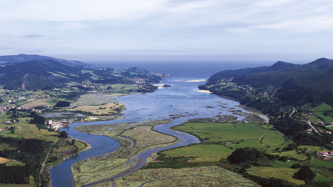 Vista aérea de Urdaibai, en Bizkaia, Euskadi.-Mikel Arrazola Vista aérea de Urdaibai, en Bizkaia, Euskadi.-Mikel Arrazola