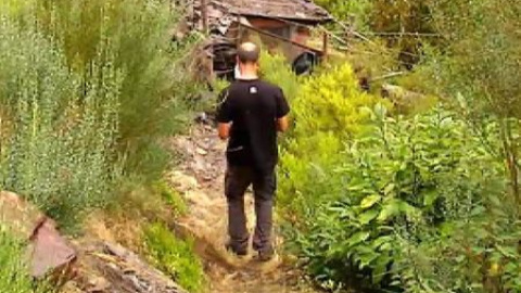 Unos osos muy golosos se dejan ver en una aldea de Lugo Unos osos muy golosos se dejan ver en una aldea de Lugo