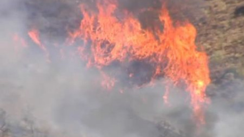 Un incendio quema unas 200 hectáreas en Los Montes de Málaga Un incendio quema unas 200 hectáreas en Los Montes de Málaga