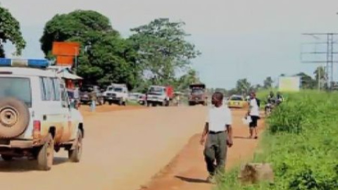 La OMS espera combatir el ébola en nueve meses La OMS espera combatir el ébola en nueve meses