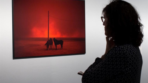Una visitante observa una foto que forman parte de la exposición Las historias que importan, que muestra las imágenes ganadoras. EFE