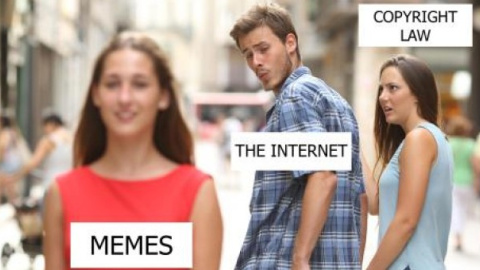 Memes como este peligran. ALAMY Memes como este peligran. ALAMY