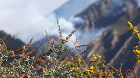 Incendio en Soto de Los infantes, concejo de Salas, Gijón, Asturias. La Unidad Militar de Emergencias (UME) tiene desplegados a sus efectivos en este incendio. Damián Arienza Europa Press