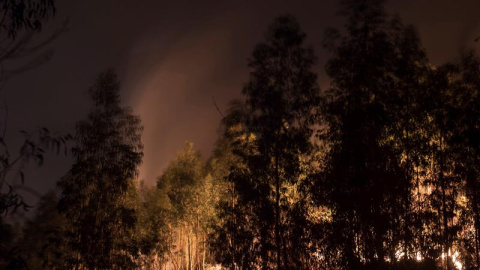 SAN ROMÁN (CANTABRIA), 04/03/2019.- Incendio forestal cerca de la localidad cántabra de San Román. El Gobierno de Cantabria ha activado el Plan Especial de Incendios Forestales (Infocant), en su nivel 1, debido a los 50 incendios forestales que están 