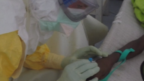 ¿Cómo se contagia el ébola? ¿Cómo se contagia el ébola?