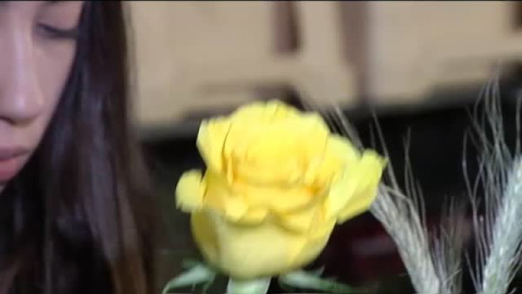 Sant Jordi llega a Barcelona Sant Jordi llega a Barcelona