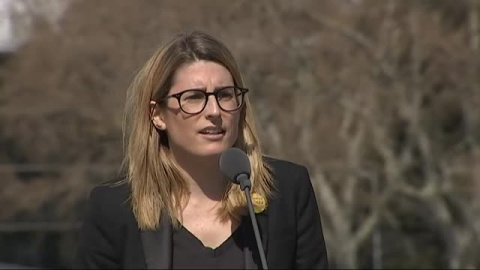 LÃmite de 48 horas para retirar esteladas y lazos amarillos de los edificios públicos catalanes LÃmite de 48 horas para retirar esteladas y lazos amarillos de los edificios públicos catalanes
