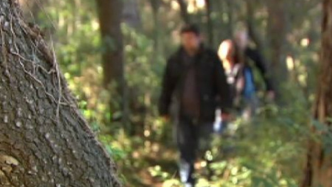 Tres mil bosques españoles podrían formar parte de una red para mejorar la salud paseando Tres mil bosques españoles podrían formar parte de una red para mejorar la salud paseando