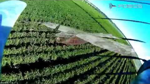 CONTROL DE PLAGAS AVIARES - FOBOS SOLUTIONS - GAVILAN X1