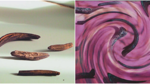 Albert Hofmann sintetizó el LSD en 1938 a partir de la ergotamina. / ILLA BUFARDA Albert Hofmann sintetizó el LSD en 1938 a partir de la ergotamina. / ILLA BUFARDA