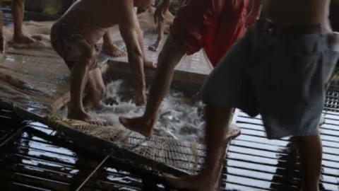 Carrefour deja de vender panga en sus supermercados Carrefour deja de vender panga en sus supermercados