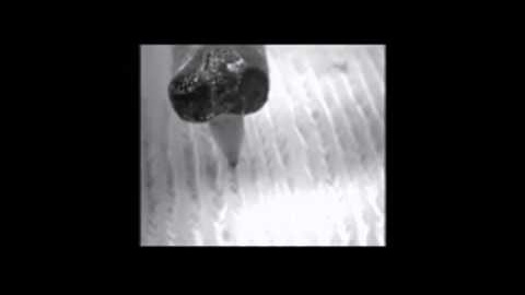 Electron microscope and the path of the needle in a vinyl LP Electron microscope and the path of the needle in a vinyl LP