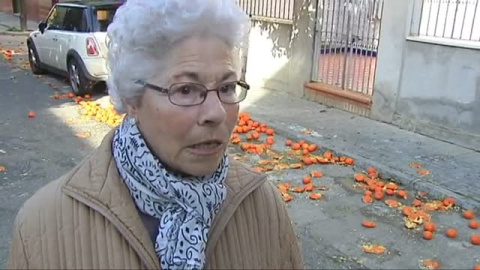 Peligro en Sevilla: las naranjas invaden las aceras Peligro en Sevilla: las naranjas invaden las aceras