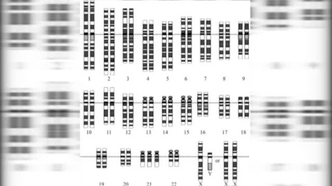 Las '21 razones' de Madeline Stuart sobre la pasarela Las '21 razones' de Madeline Stuart sobre la pasarela