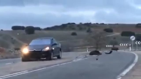 Orín de lobos de Alaska para evitar accidentes de tráfico en Cantabria Orín de lobos de Alaska para evitar accidentes de tráfico en Cantabria