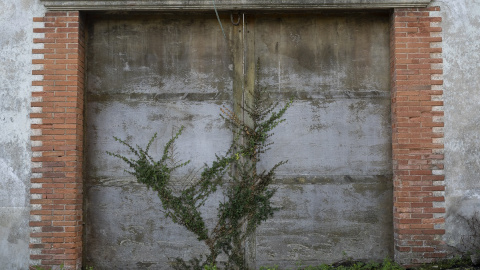 Ruinas en la tejera de Sarón (Cantabria) Ruinas en la tejera de Sarón (Cantabria)